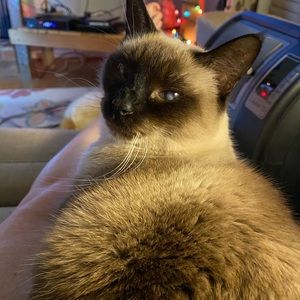 Meet your Posher, Tammy